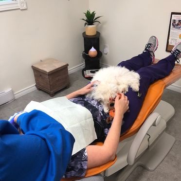 note-355390414383239071-Therapy-dog-1